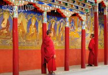 Witnessing Living Heritage of Buddhism in Ladakh