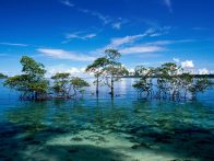 The Emerald Islands of Andaman & Nicobar