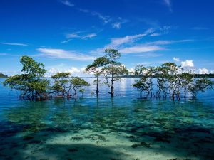 The Emerald Islands of Andaman & Nicobar