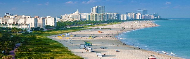 Go Native: 2020 Travel Guide for Miami