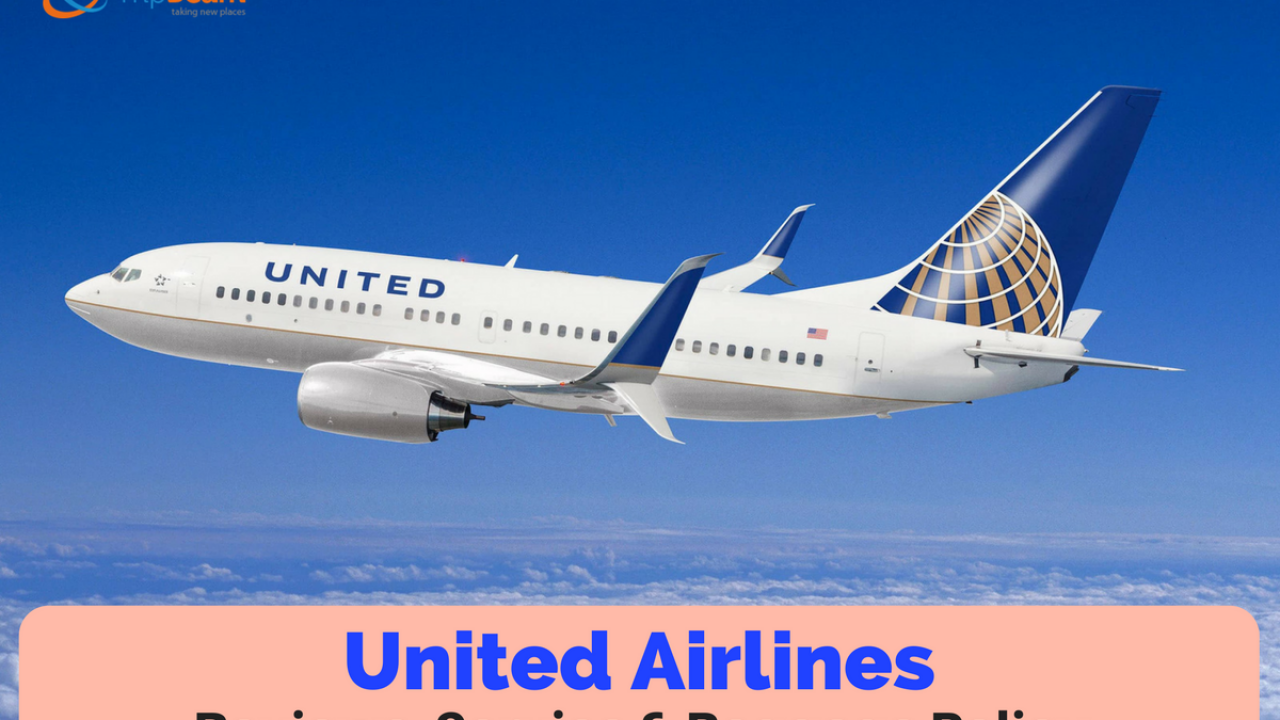 United Airlines Reviews Service and Baggage Policy TripBeam Blog
