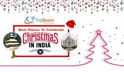 cheap flights to India | Best Places to Celebrate Christmas in India