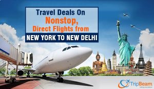 delhi to new york tour package