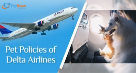 Delta Air Lines pet policies