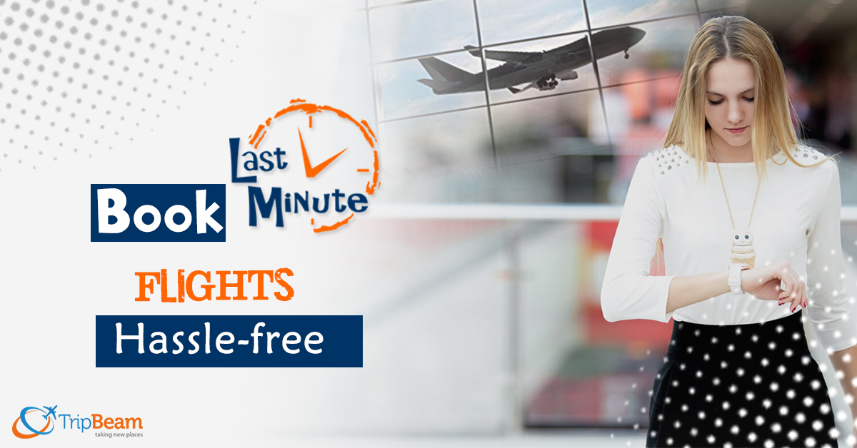 How to Book Last minute Flights Hassle free? 11 Essential Things