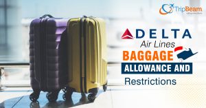 Delta domestic cheap flight baggage