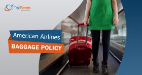 American Airlines Baggage Policy in 2020