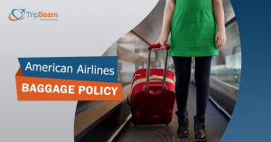 air india international bolsagage allowance