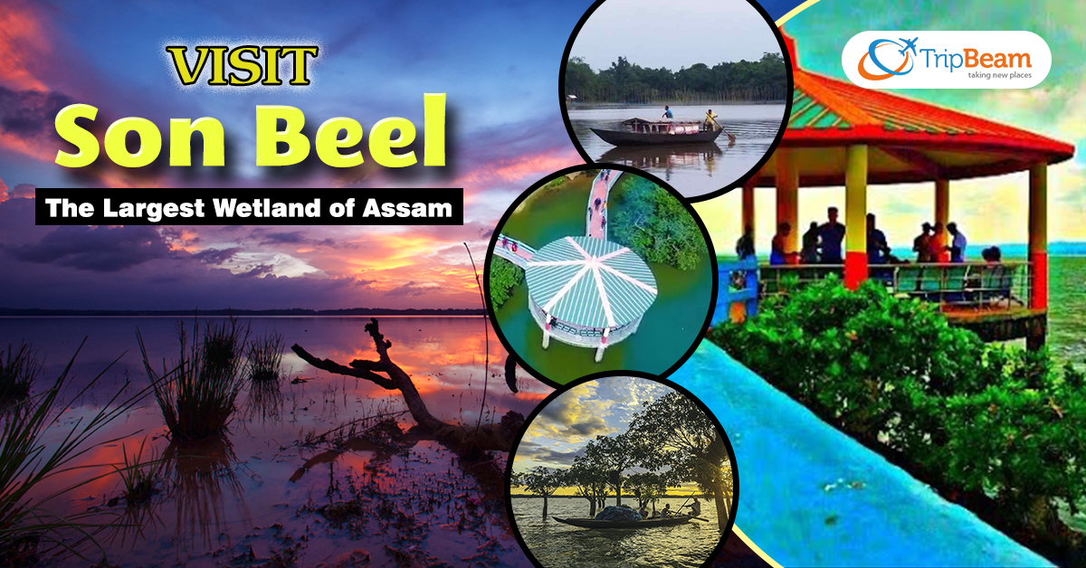 Visit Son Beel - The Largest Wetland of Assam