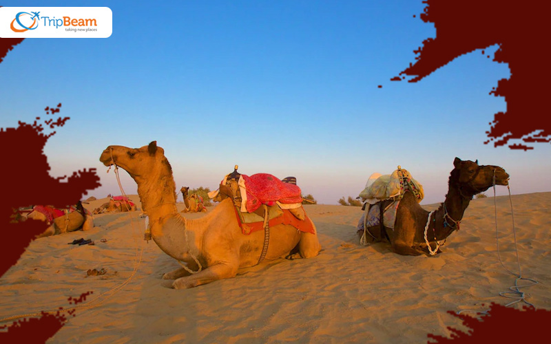 A Tour to Khuri Sand Dunes