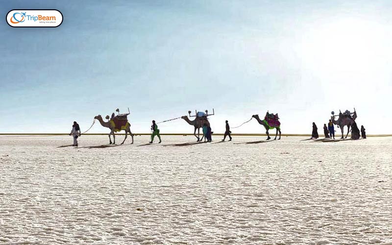 Rann of Kutch, Gujarat