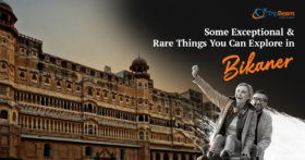 Some Exceptional & Rare Things You Can Explore in Bikaner