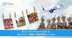 Book Last Minute Flights to See Exotic Tribal Festivals of India