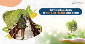 Get Travel Deals Online to Visit 3 Eco Friendly Spots in India