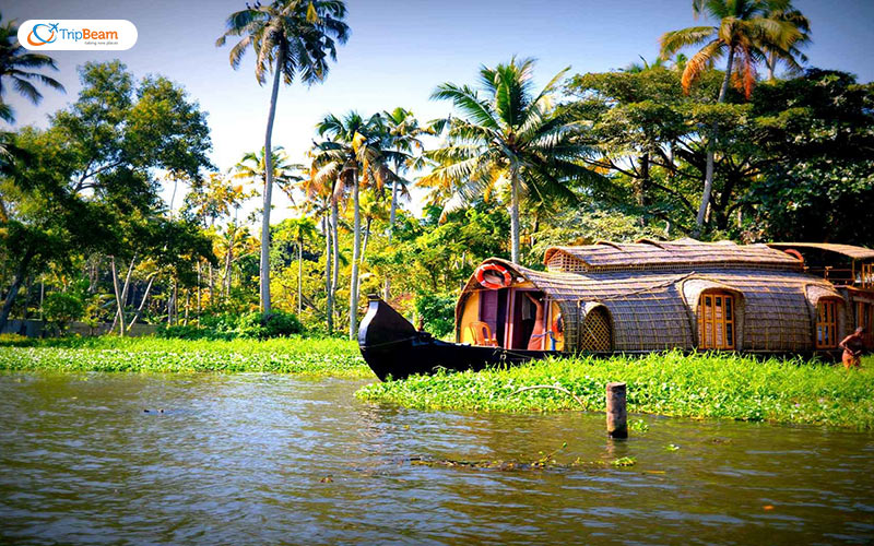 Magical landscapes of Kerala Gods Own Country