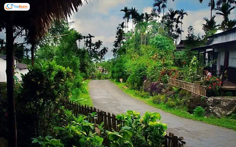 Meghalayas Mawlynnong Village is Asias cleanest village
