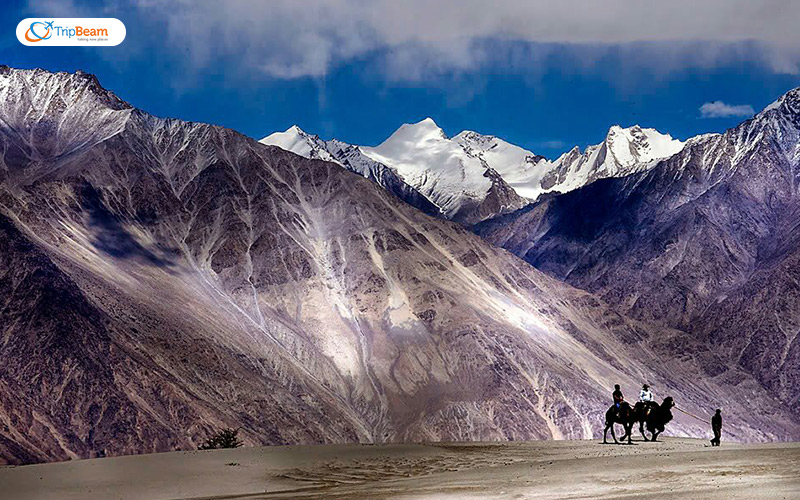 The spectacular terrain of Leh Ladakh cold desert