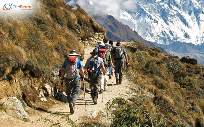 Enjoy a Himalayan trek