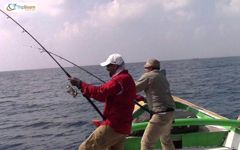 Fishing at Minicoy island lakshadweep