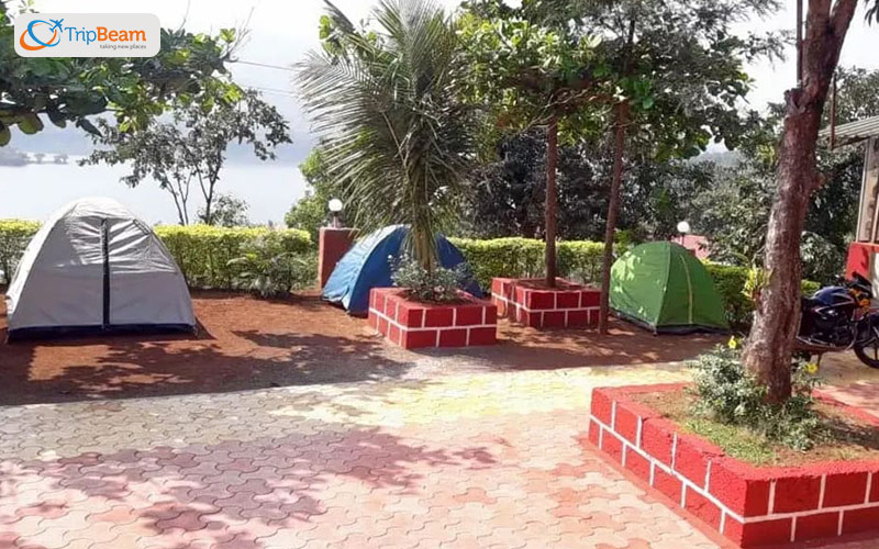 Go for jungle ride and camping in Tapola or Mini Kashmir of India