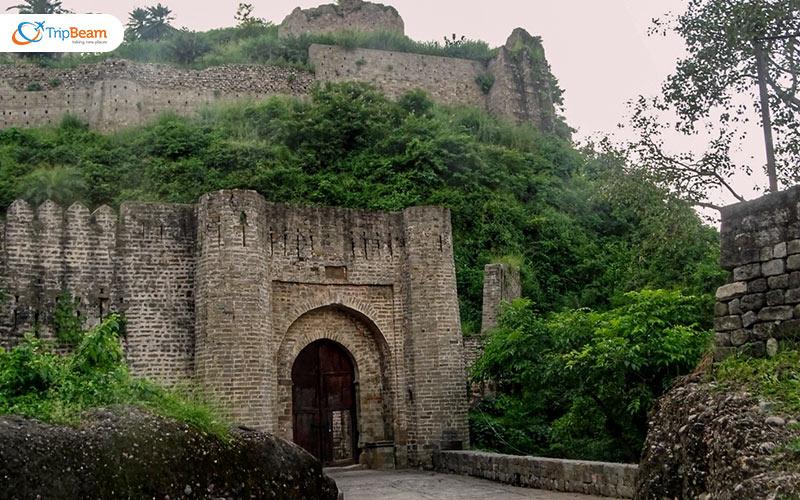 Kangra fort