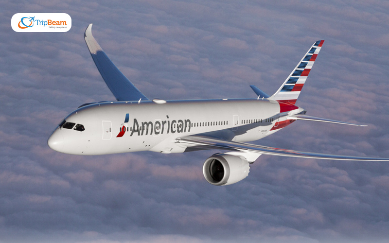 American Airlines American Airlines