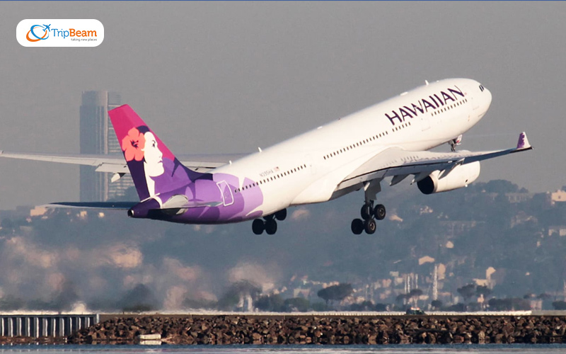 Hawaiian airlines