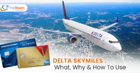 Delta Skymiles What Why How To Use