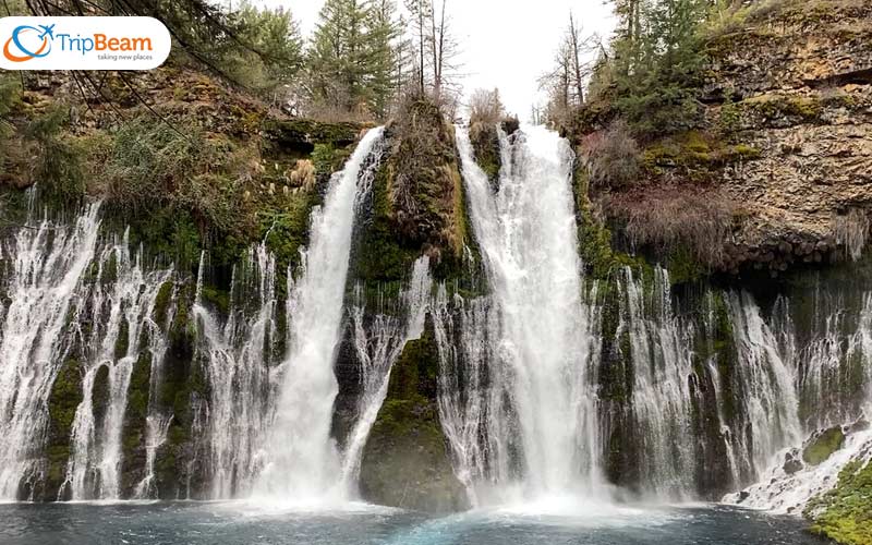 Burney Falls San Francisco