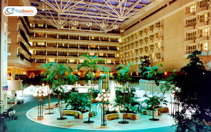 Orlando International Airport Rules Regulations