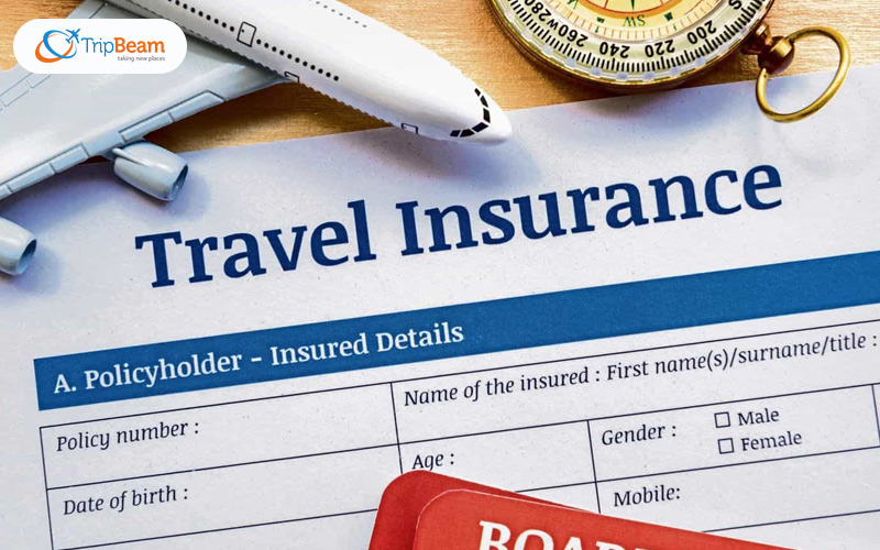 travel insurance claim missed flight