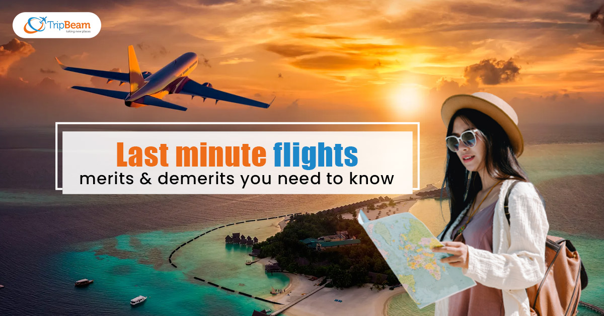 Last minute flights merits demerits you need to know