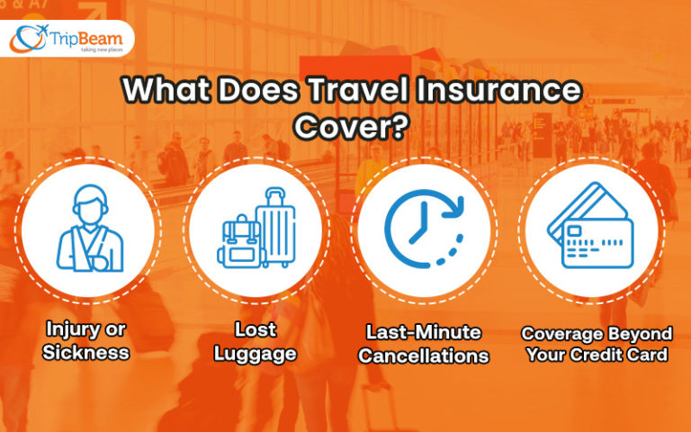 does travel insurance cover your phone