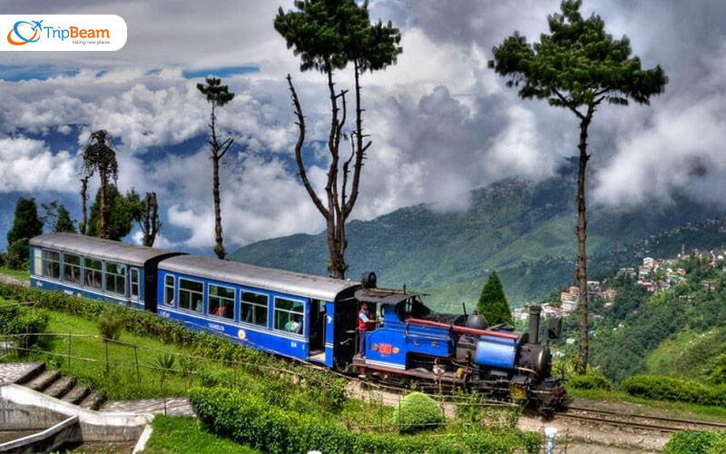 Darjeeling