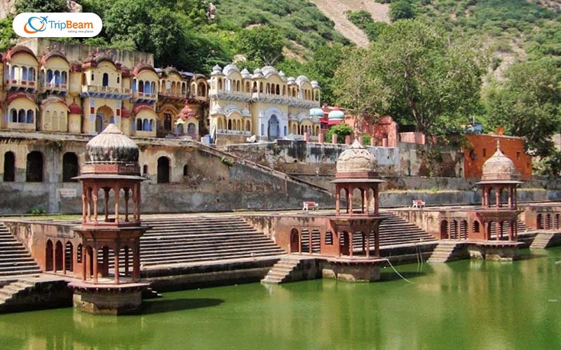 Rajasthan's Road Trips