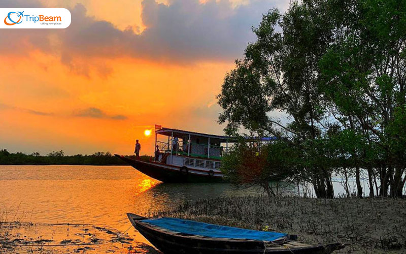 Sundarban