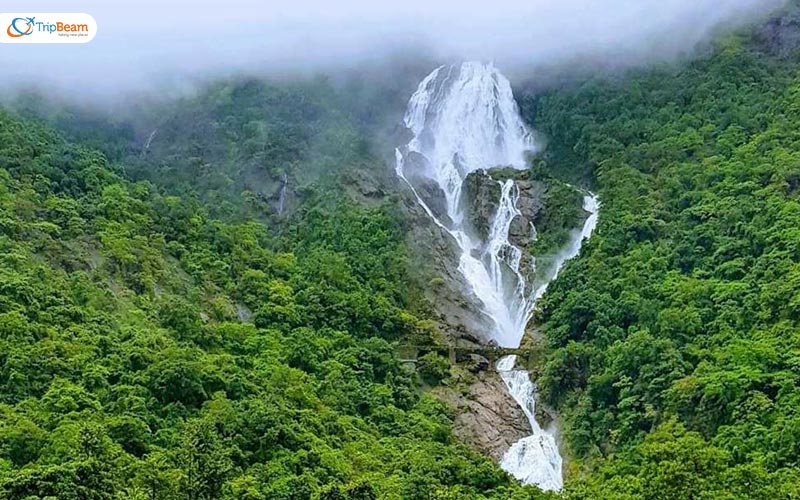 Trek to Dudhsagar Falls