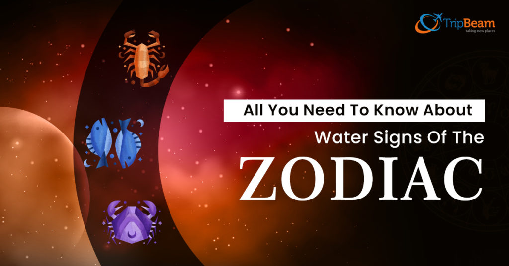 Water Element Zodiac Signs In Astrology [CANCER, SCORPIO,