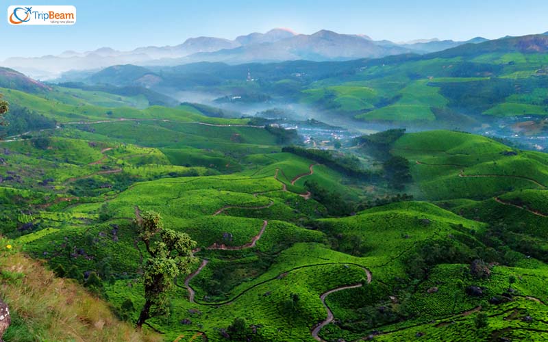 Munnar