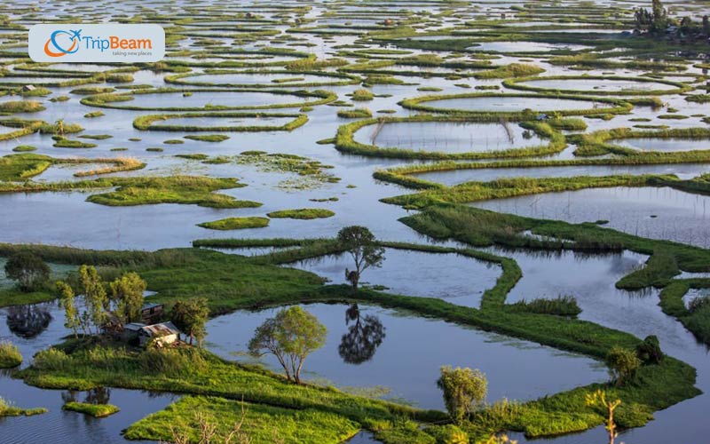 Floating Island on Loktak Lake Manipur