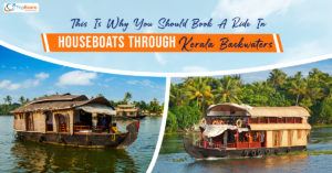 This Is Why You Should Book A Ride In Houseboats Through Kerala Backwaters