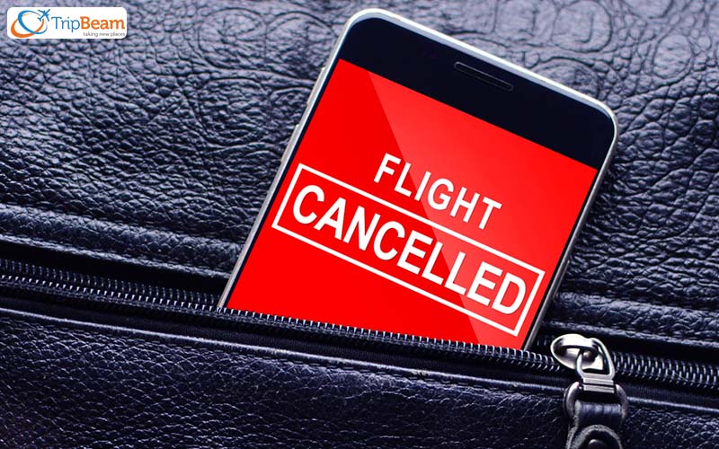 Flight Cancellation Understanding Your Rights