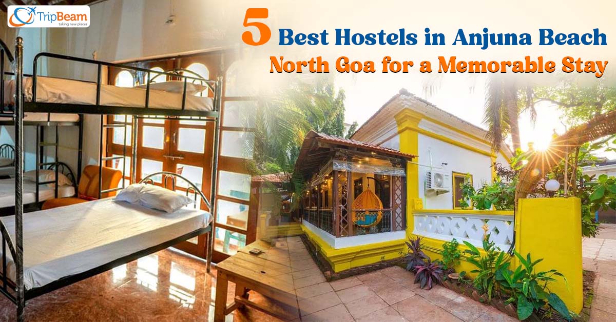 5 Best Hostels in Anjuna Beach North Goa for a Memorable Stay