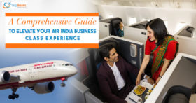 A Comprehensive Guide to Elevate Your Air India Business Class Experience