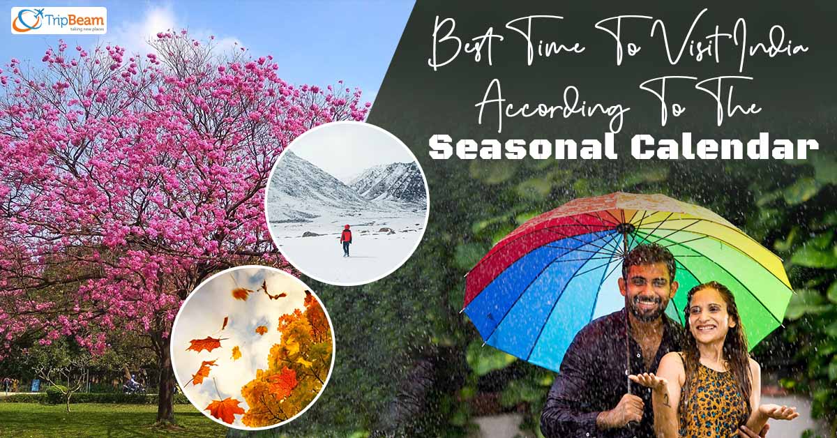 Best Time To Visit India According To The Seasonal Calendar