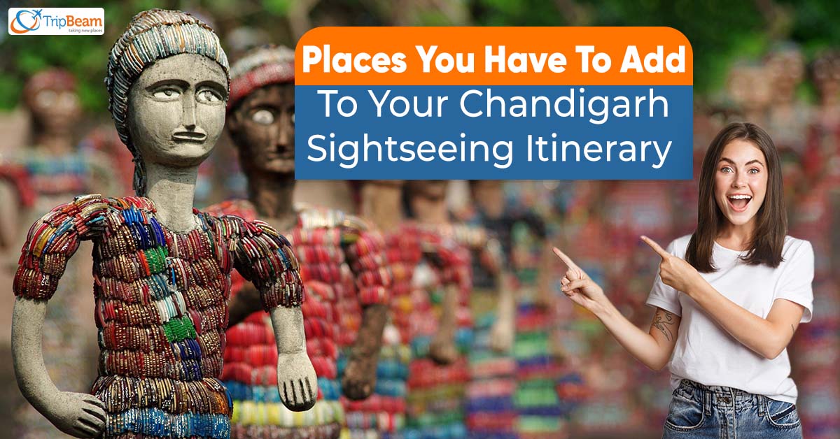 Places You Have To Add To Your Chandigarh Sightseeing Itinerary