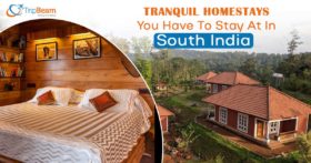 Tranquil Homestays You Have To Stay At In South India
