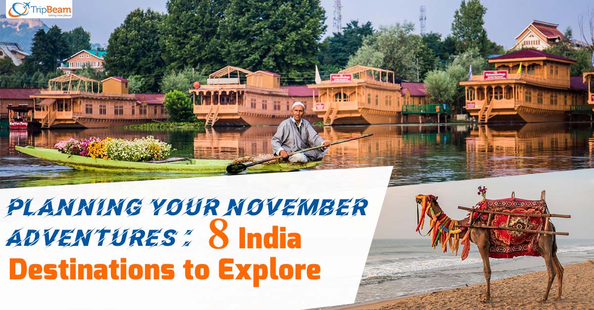 Planning Your November Adventures 8 India Destinations to Explore