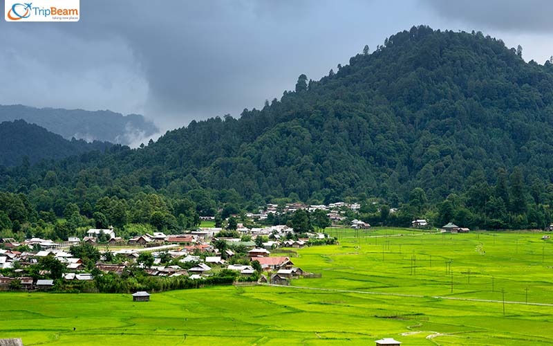 Ziro Arunachal Pradesh - India Destinations to Explore