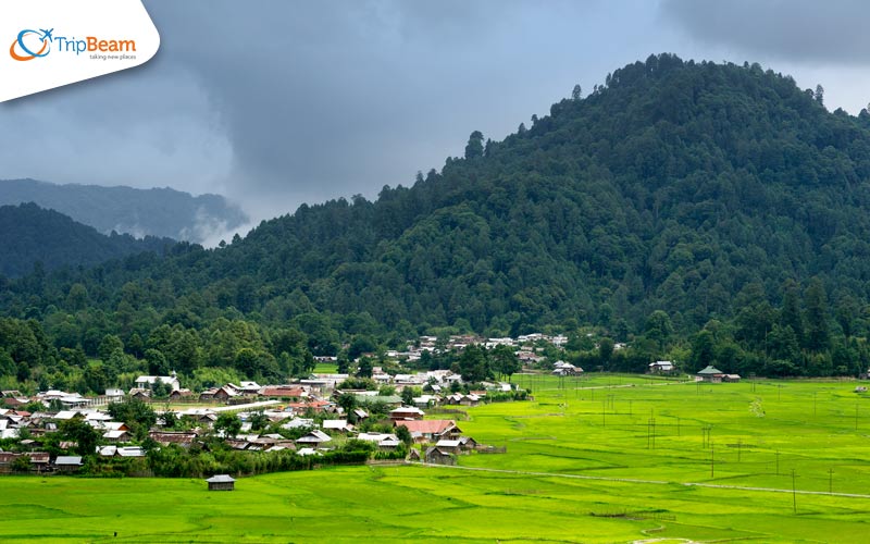 Ziro Valley Arunachal Pradesh